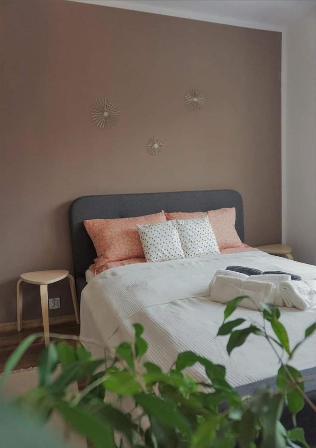 Cozy Apart Toplita Esterno foto